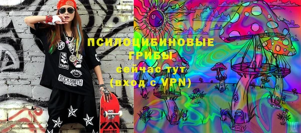 соль курить ск Алзамай